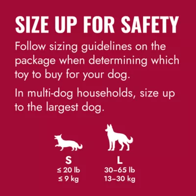 KONG® Flyer Dog Toy - Image 4