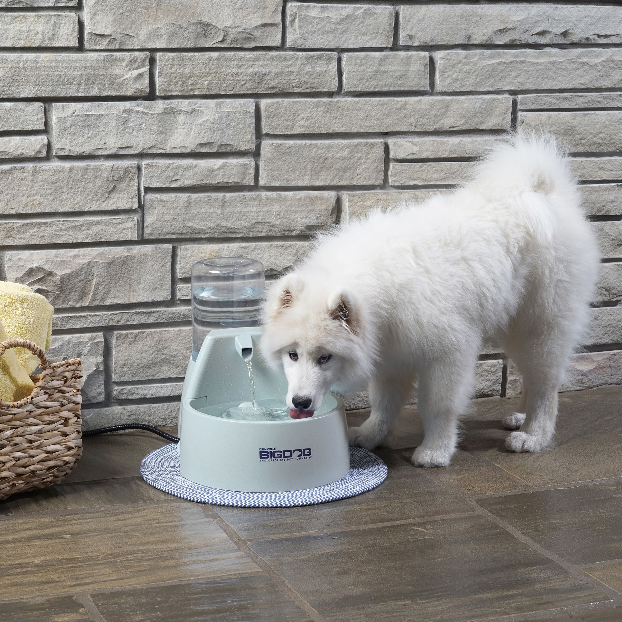 drinkwell big dog fountain