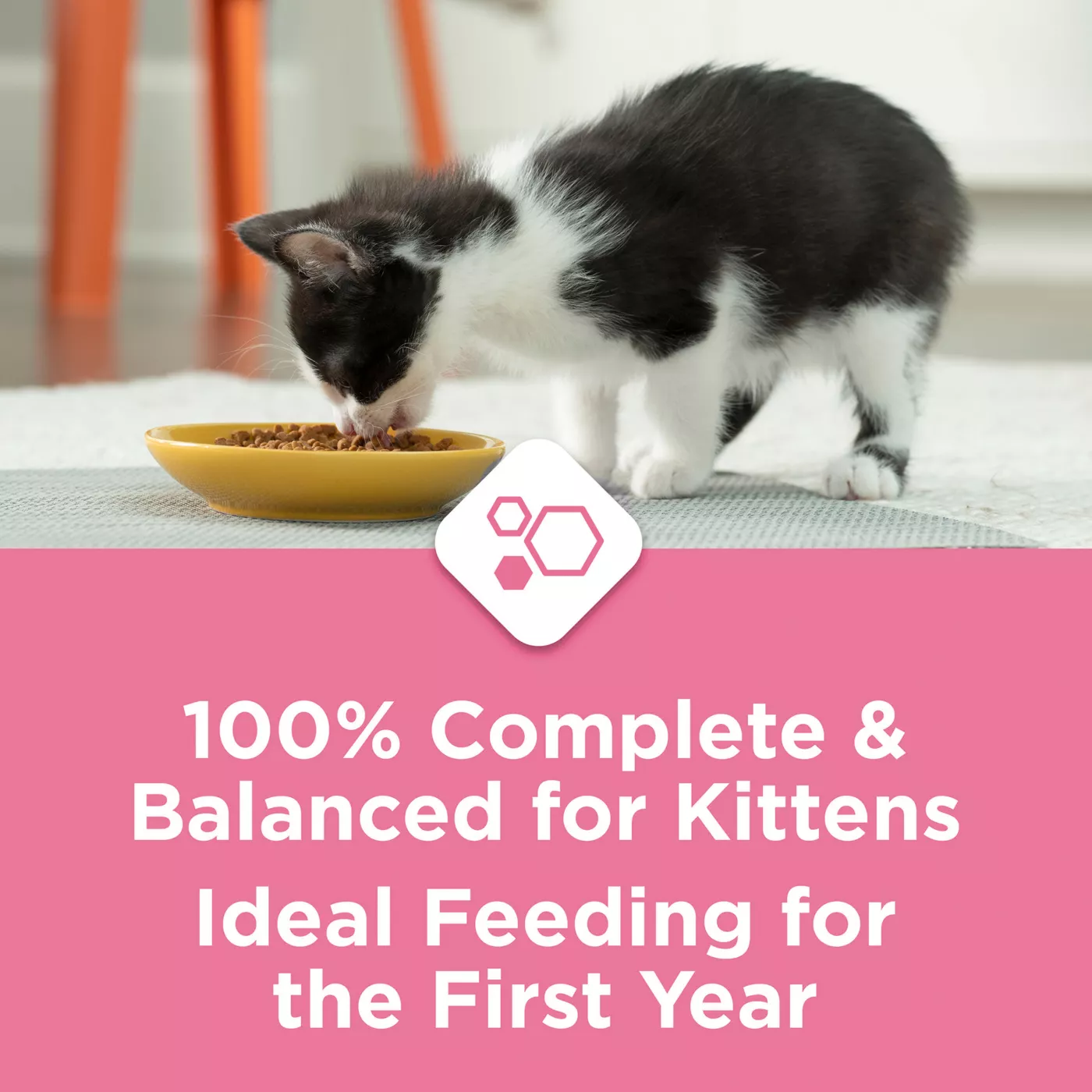 How long do you feed kittens kitten chow best sale