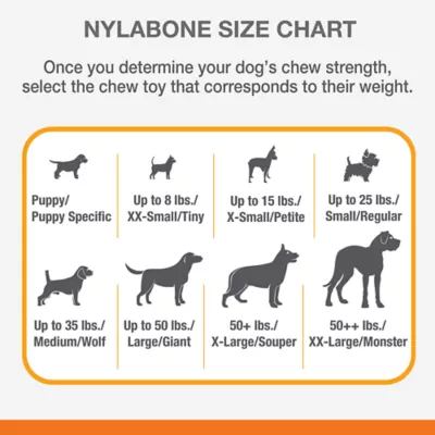 Product Nylabone® Puppy Teething Keys Chew Dog Toy