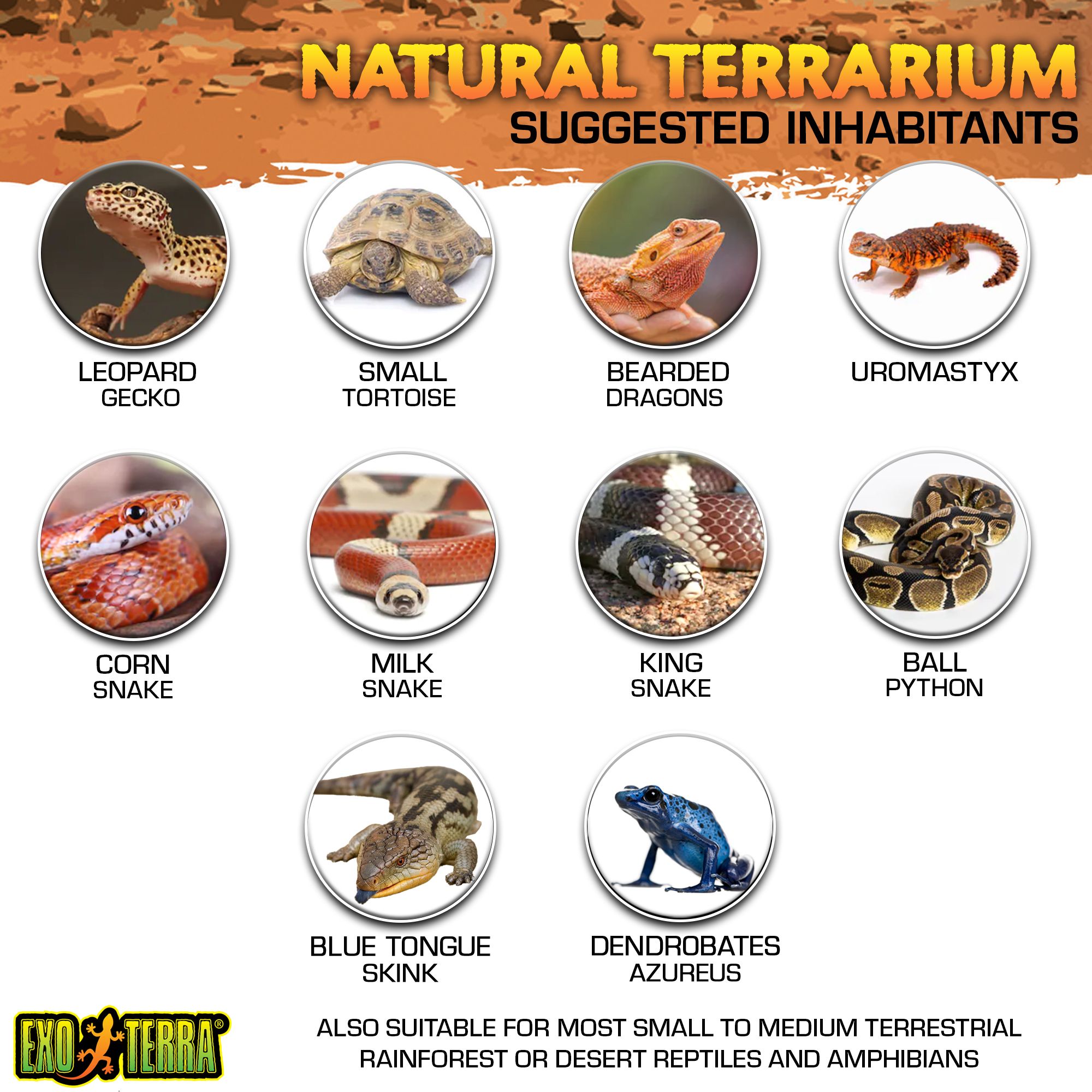 Exo Terra Advanced Reptile Terrarium Reptile Terrariums Petsmart