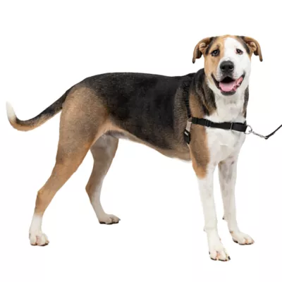 Product PetSafe® Easy Walk Dog Harness