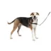 PetSafe® Easy Walk Harness, No Pull Dog Harness image thumbnail 7