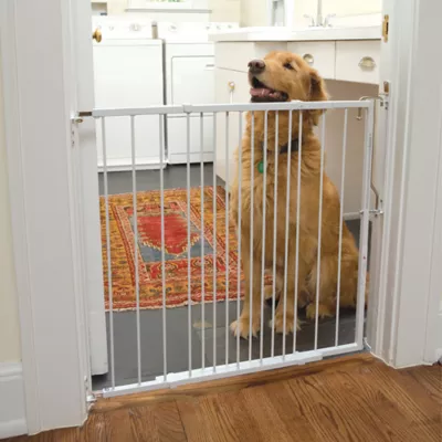Product Cardinal Gates Side & Top Extendable Metal Pet Gate