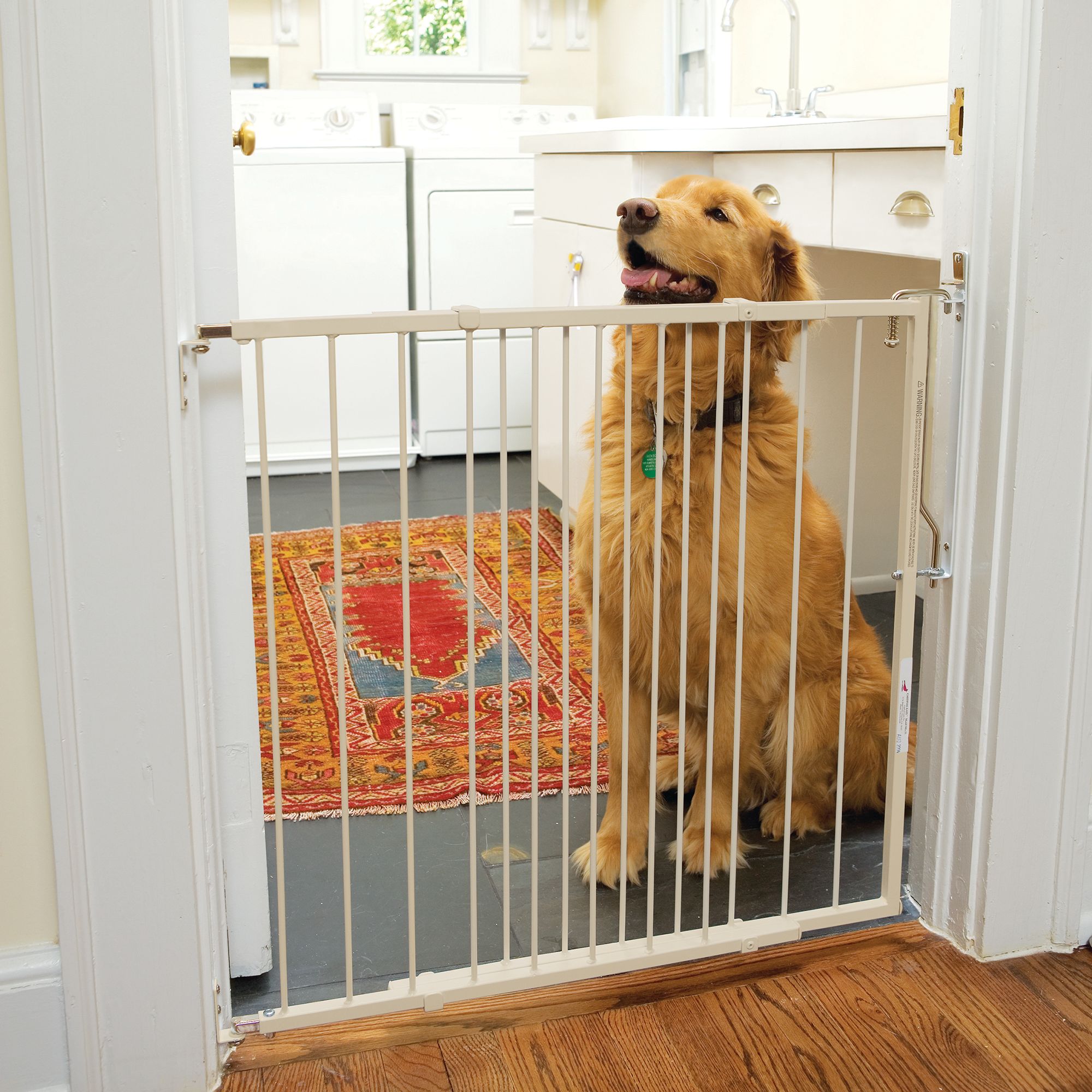 extendable metal pet gate