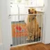 Cardinal Gates Side & Top Extendable Metal Pet Gate image thumbnail 2