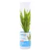 Top Fin® Gold Ribbon Semi-Aquatic Live Plant image thumbnail 1