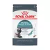 Royal Canin® Feline Care Nutrition Hairball Care Adult Dry Cat Food image thumbnail 1