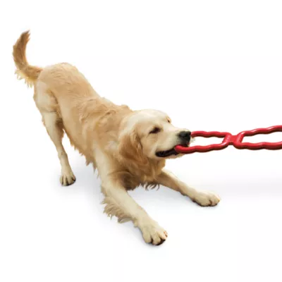 Product KONG® Tug Dog Toy