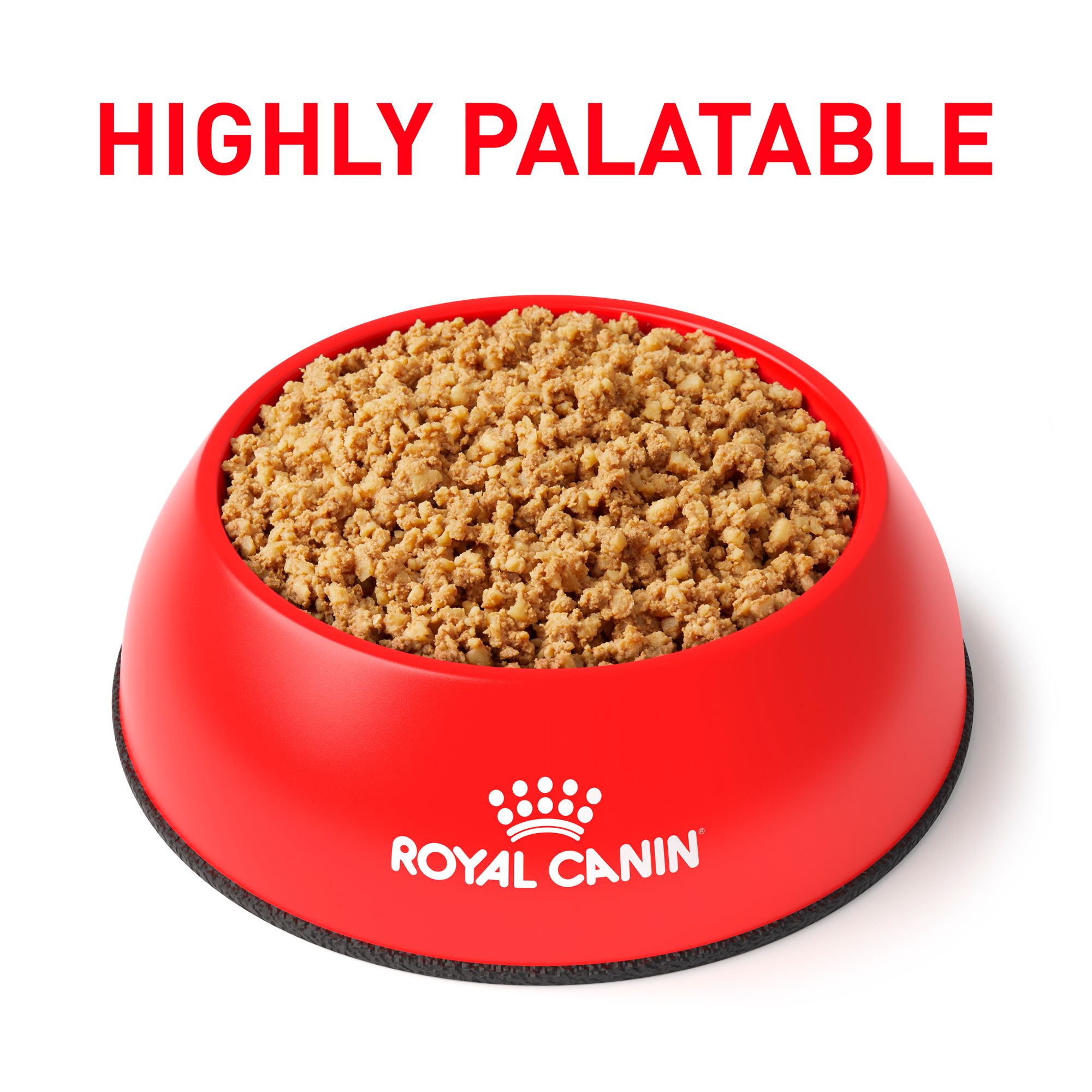 royal canin pv dry dog food