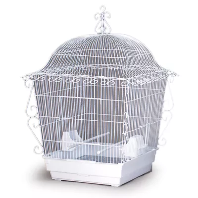 Product Prevue Pet Products Scrollwork Bird Cage