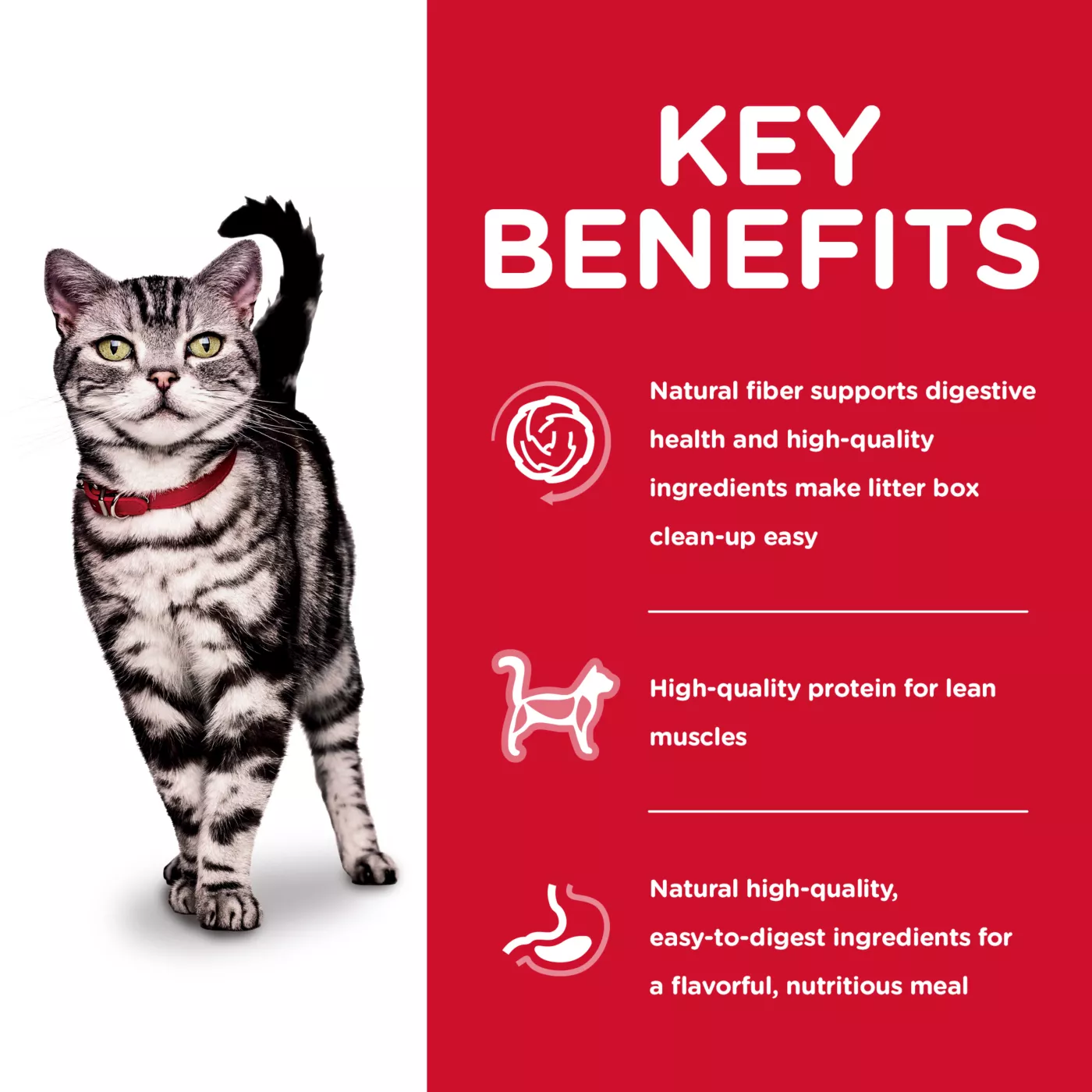 Science diet indoor cat discount