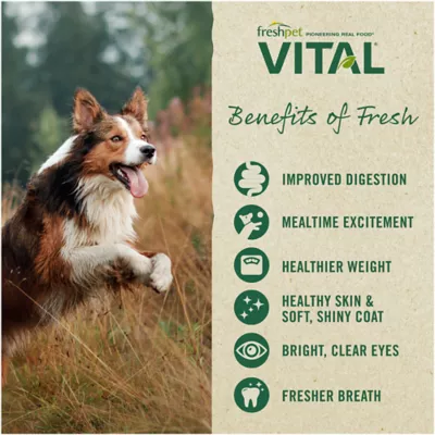 Product Freshpet® Vital™Balanced NutritionTurkey Adult Dog Food