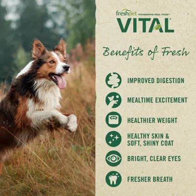 Product Freshpet® Vital™Balanced Nutrition Chicken Adult Dog Food