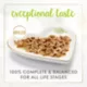 Product Fancy Feast® Grilled Wet Cat Food