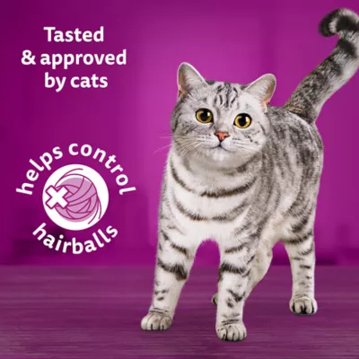 Product WHISKAS® Hairball Control Cat Food