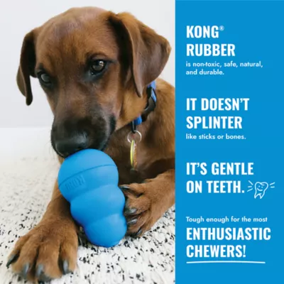 KONG® Binkie Treat Dispensing Puppy Toy (COLOR VARIES) - Image 7