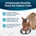 Blue Buffalo Tastefuls Adult Indoor Cat Dry Food - Natural, Salmon & Brown Rice image thumbnail 4