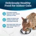 Blue Buffalo Tastefuls Adult Indoor Cat Dry Food - Natural, Chicken & Brown Rice image thumbnail 4