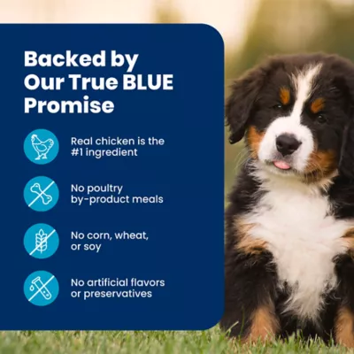 Blue Buffalo Life Protection Formula Large Breed Chicken Puppy Dry Food with DHA & ARA - Image 8