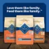 Blue Buffalo Life Protection Formula Large Breed Chicken Puppy Dry Food with DHA & ARA image thumbnail 10