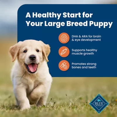 Product Blue Buffalo® Life Protection Formula™ Large Breed Puppy Dry Dog Food - Chicken & Brown Rice