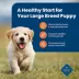 Blue Buffalo® Life Protection Formula™ Large Breed Puppy Dry Dog Food - Chicken & Brown Rice image thumbnail 4