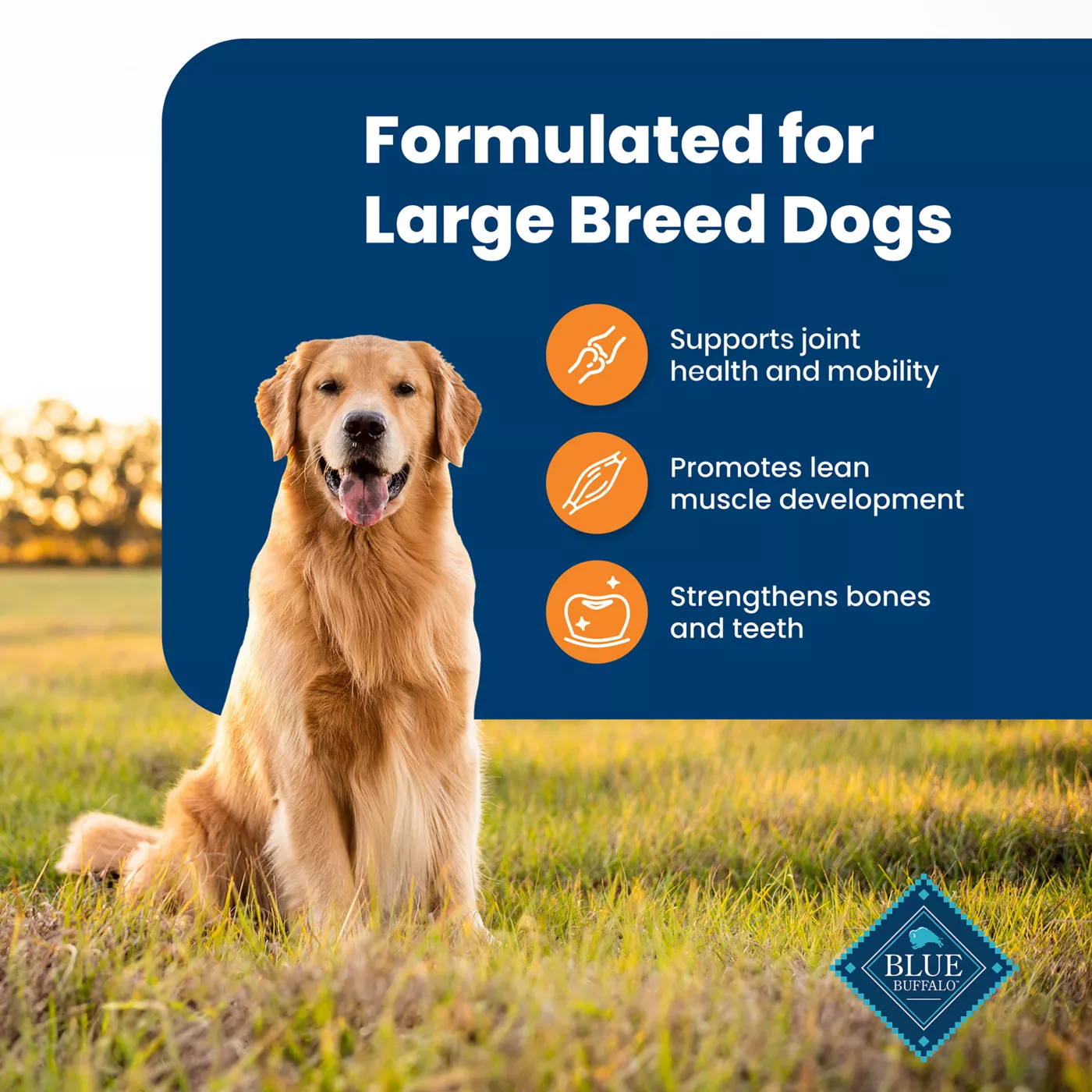 Product Blue Buffalo® Life Protection Formula™ Large Breed Adult Dry Dog Food - Natural, Chicken