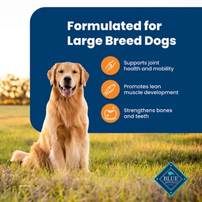 Product Blue Buffalo® Life Protection Formula™ Large Breed Adult Dry Dog Food - Natural, Chicken