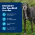 Blue Buffalo Life Protection Formula Large Breed Chicken & Brown Rice Adult Dry Dog Food image thumbnail 8