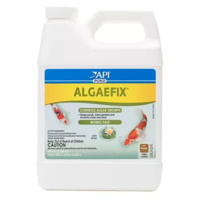 Product API® Pond Algaefix