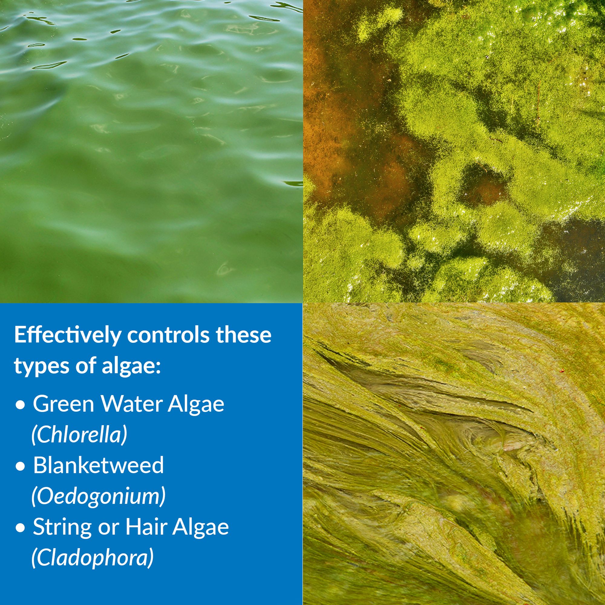 API® Pond Algaefix Algae Control for Koi Ponds - thumbnail 3