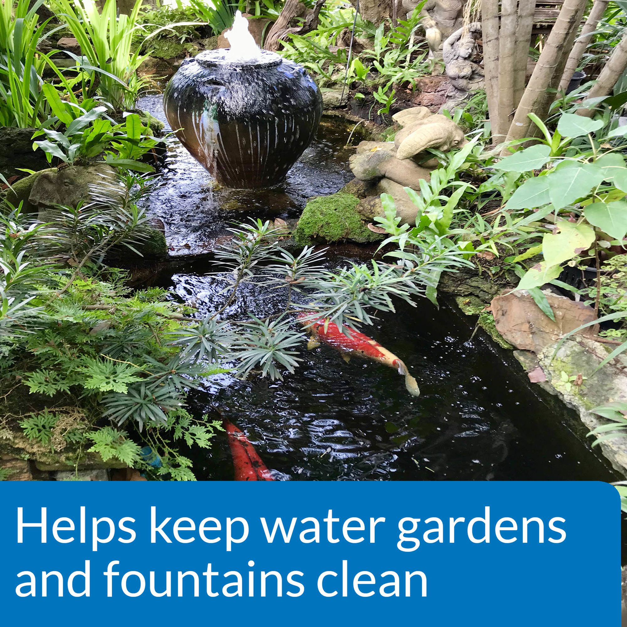 API® Pond Algaefix Algae Control for Koi Ponds - thumbnail 4
