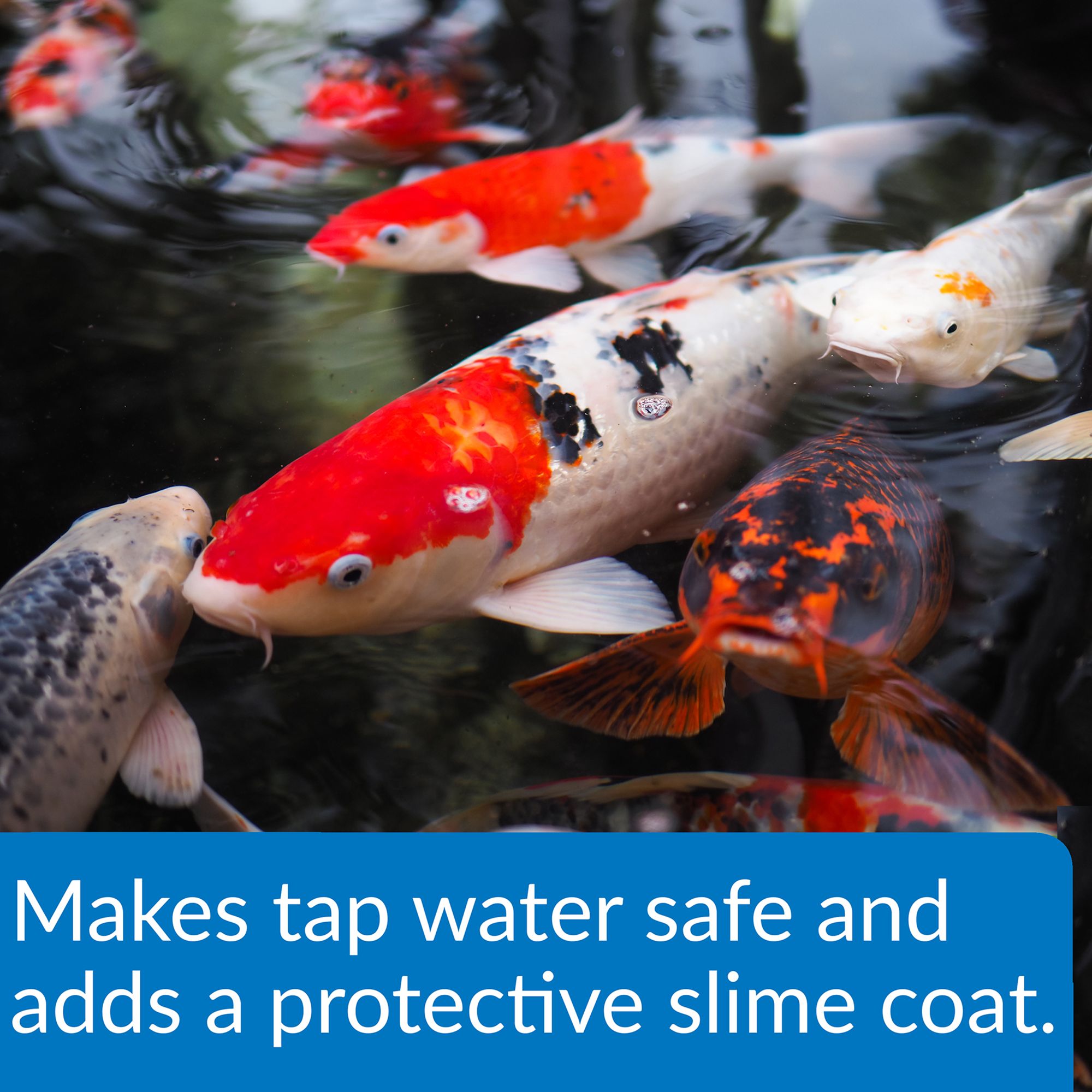API® Pond Stress Coat - 32 oz for Pond Water Care - thumbnail 4