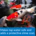 API® Pond Stress Coat image thumbnail 4