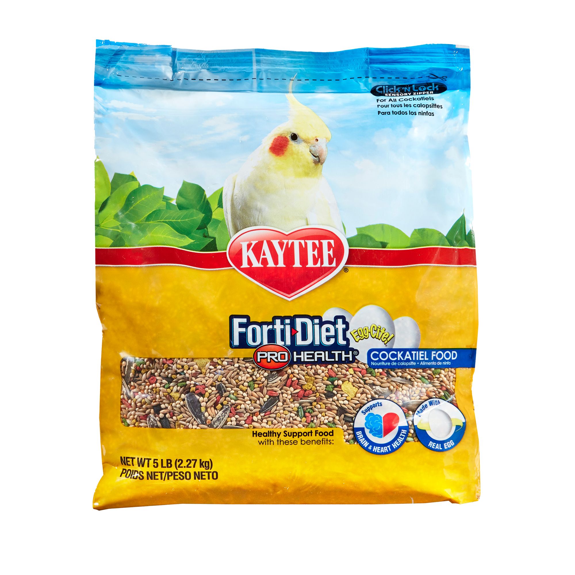 The Essential Guide to Food for Cockatiels