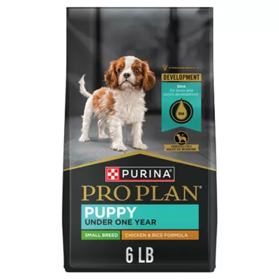 Purina small breed dog food best sale