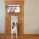 Product High Tech Pet® Power Pet™ Automatic Pet Door