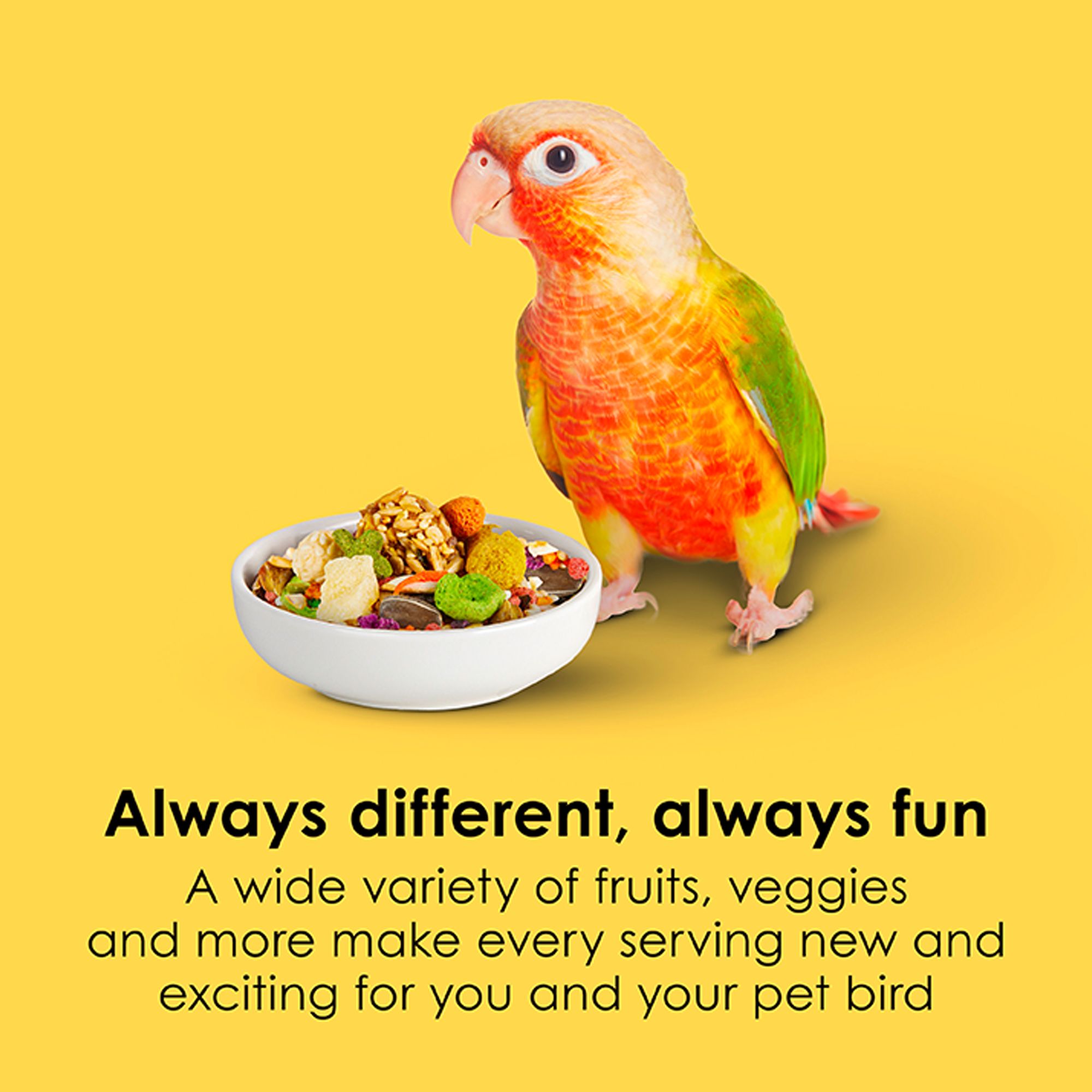 KAYTEE® Fiesta Conure Food - Seed Blend - thumbnail 3