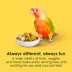 KAYTEE® Fiesta Conure Food image thumbnail 3