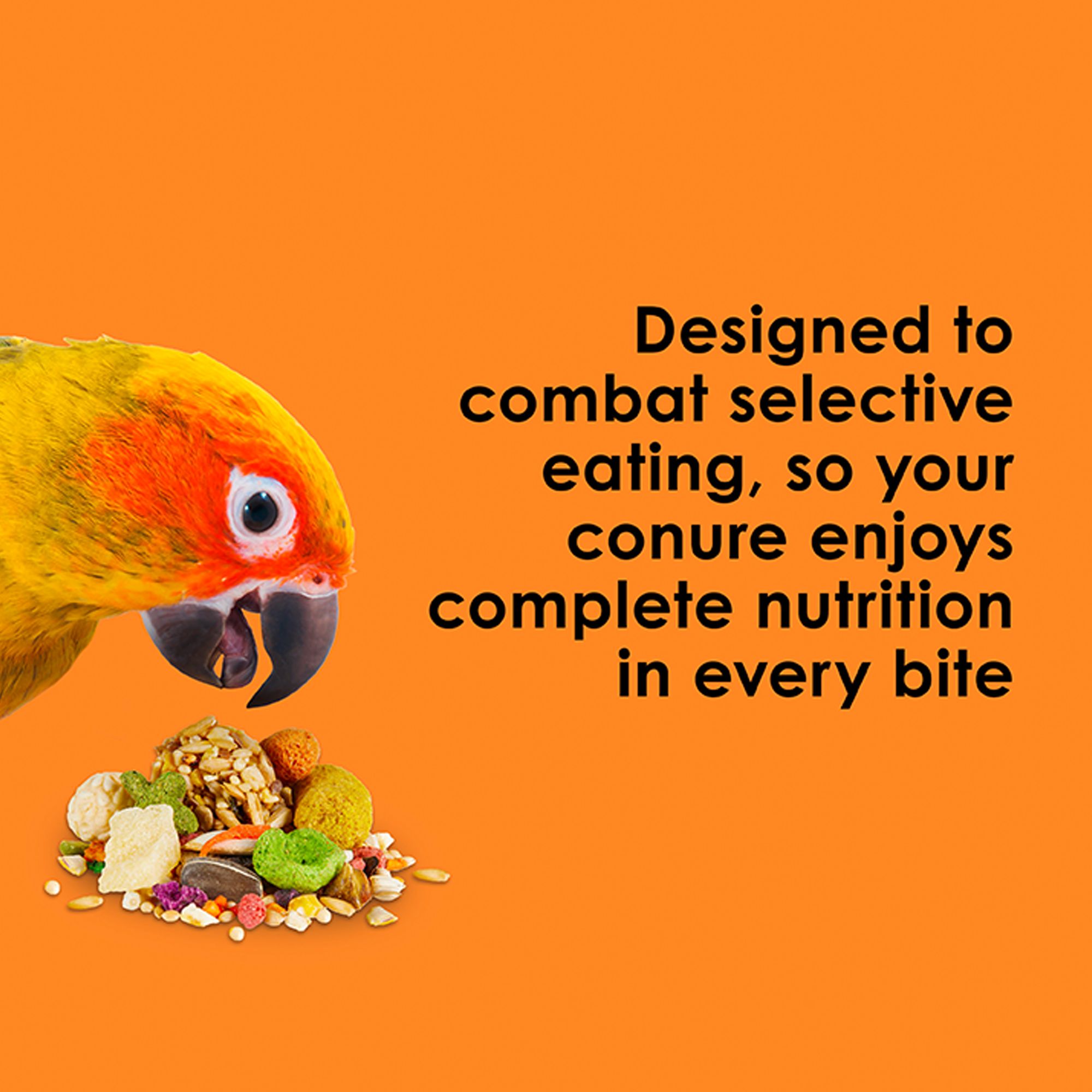 KAYTEE® Fiesta Conure Food - Seed Blend - thumbnail 4