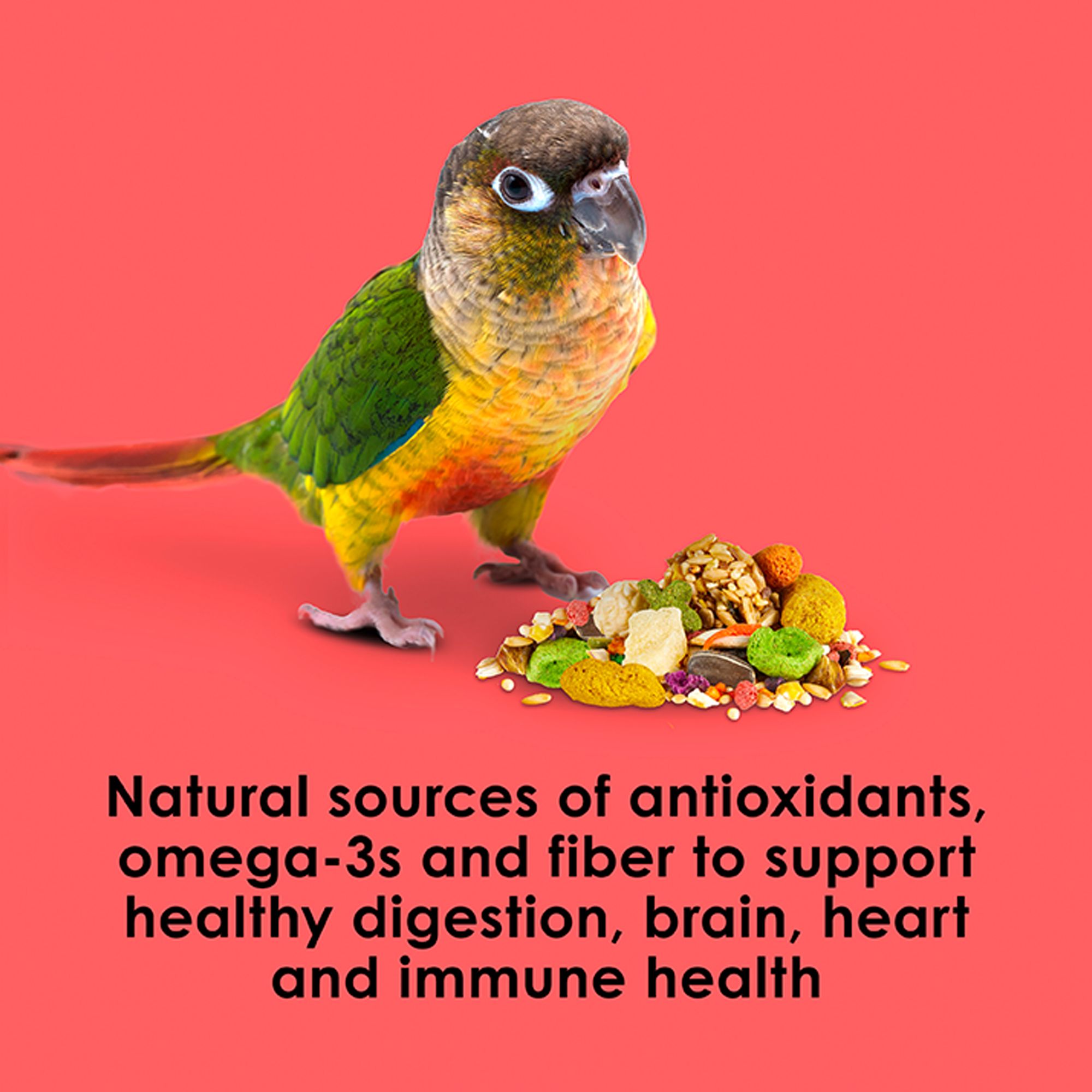 KAYTEE® Fiesta Conure Food - Seed Blend - thumbnail 6