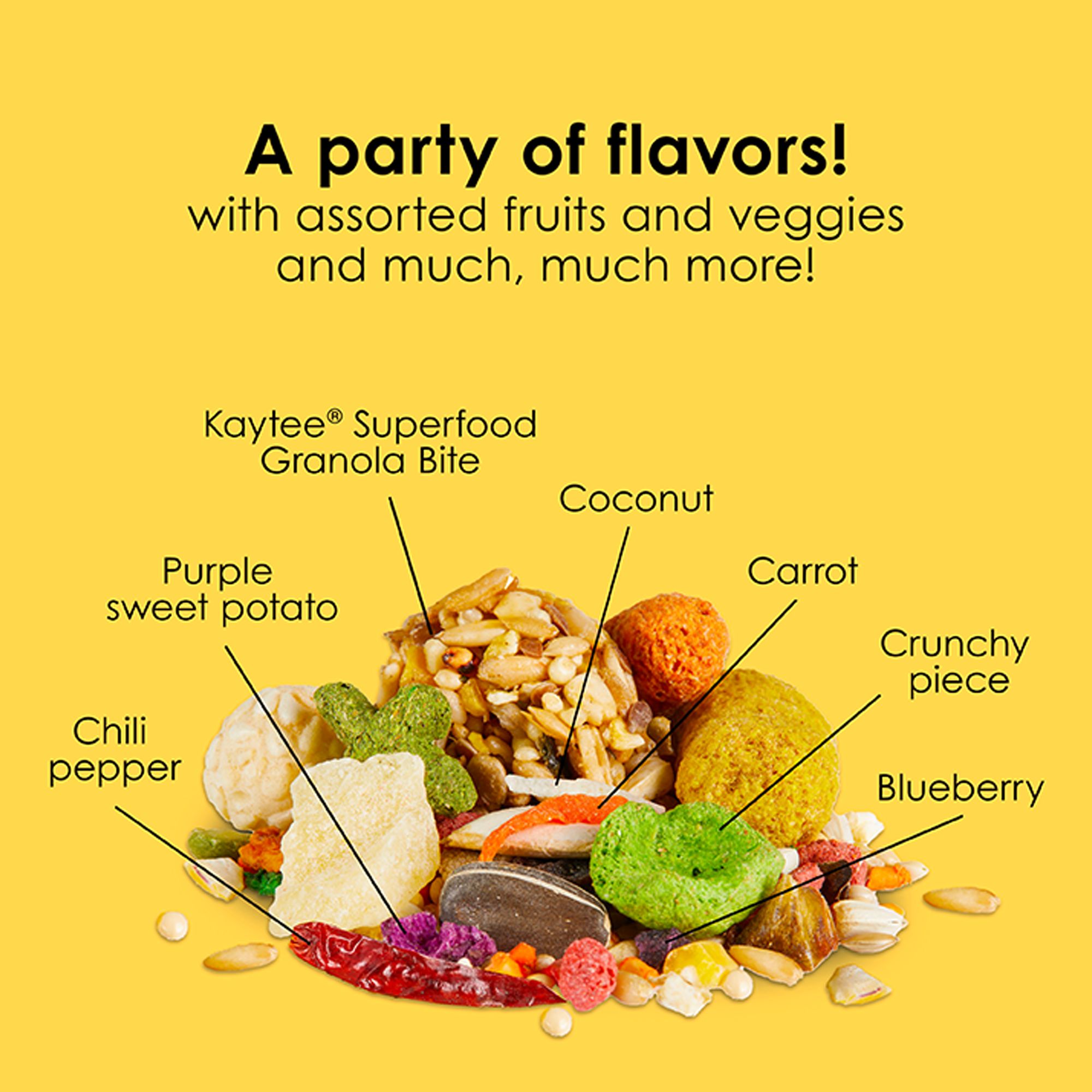 KAYTEE® Fiesta Conure Food - Seed Blend - thumbnail 7