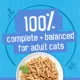Product Purina® Friskies®  All Life Stages Cat Wet Food - 6.04 oz.