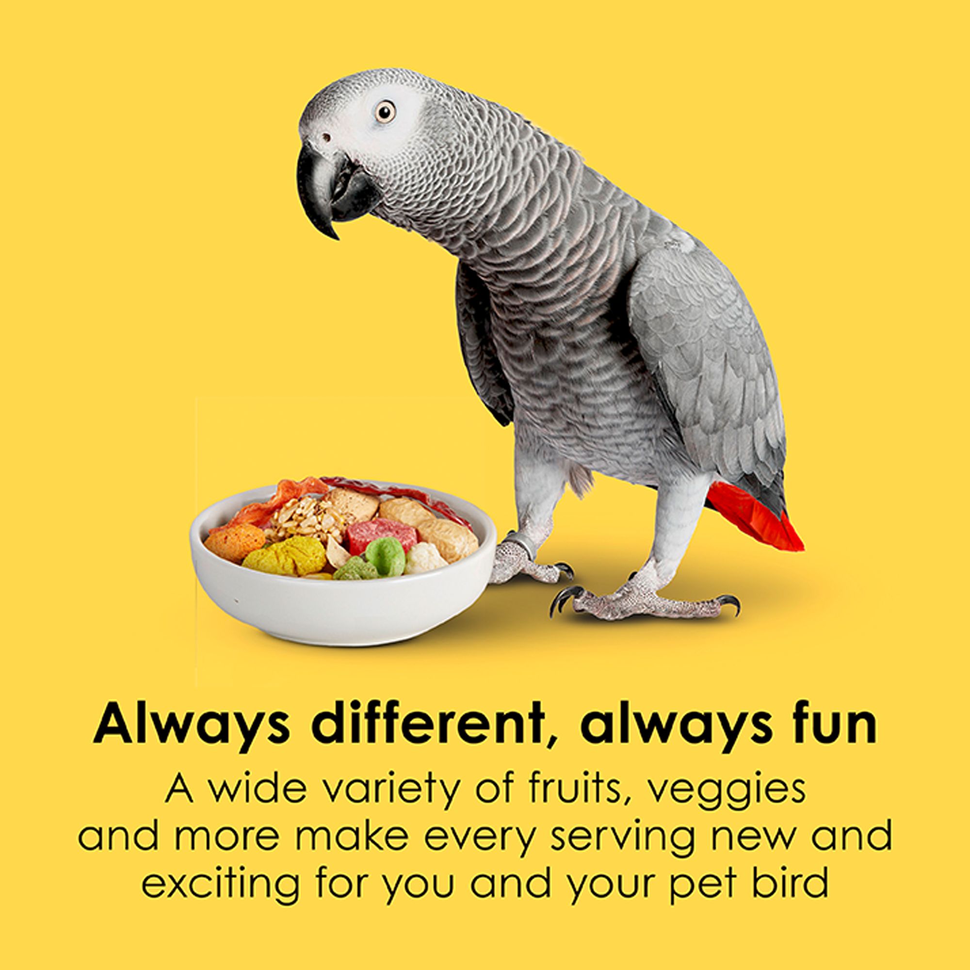 KAYTEE® Fiesta Parrot Food - Seed Blend - thumbnail 3