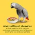 KAYTEE® Fiesta Parrot Food image thumbnail 3