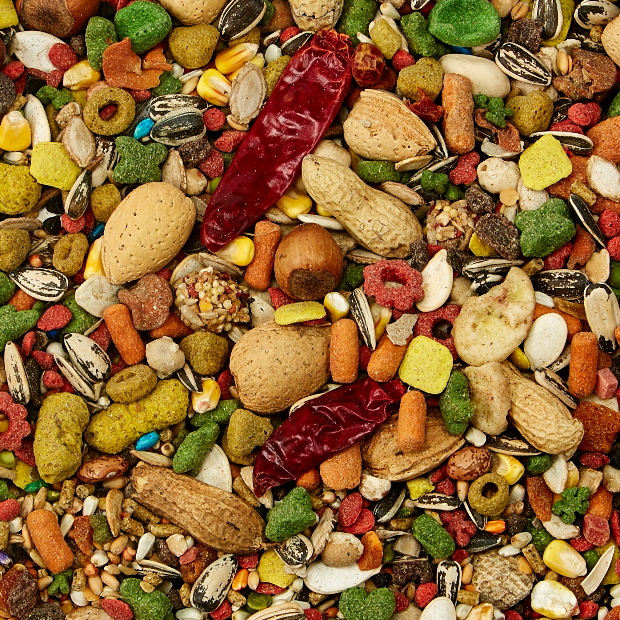 KAYTEE Fiesta Parrot Food