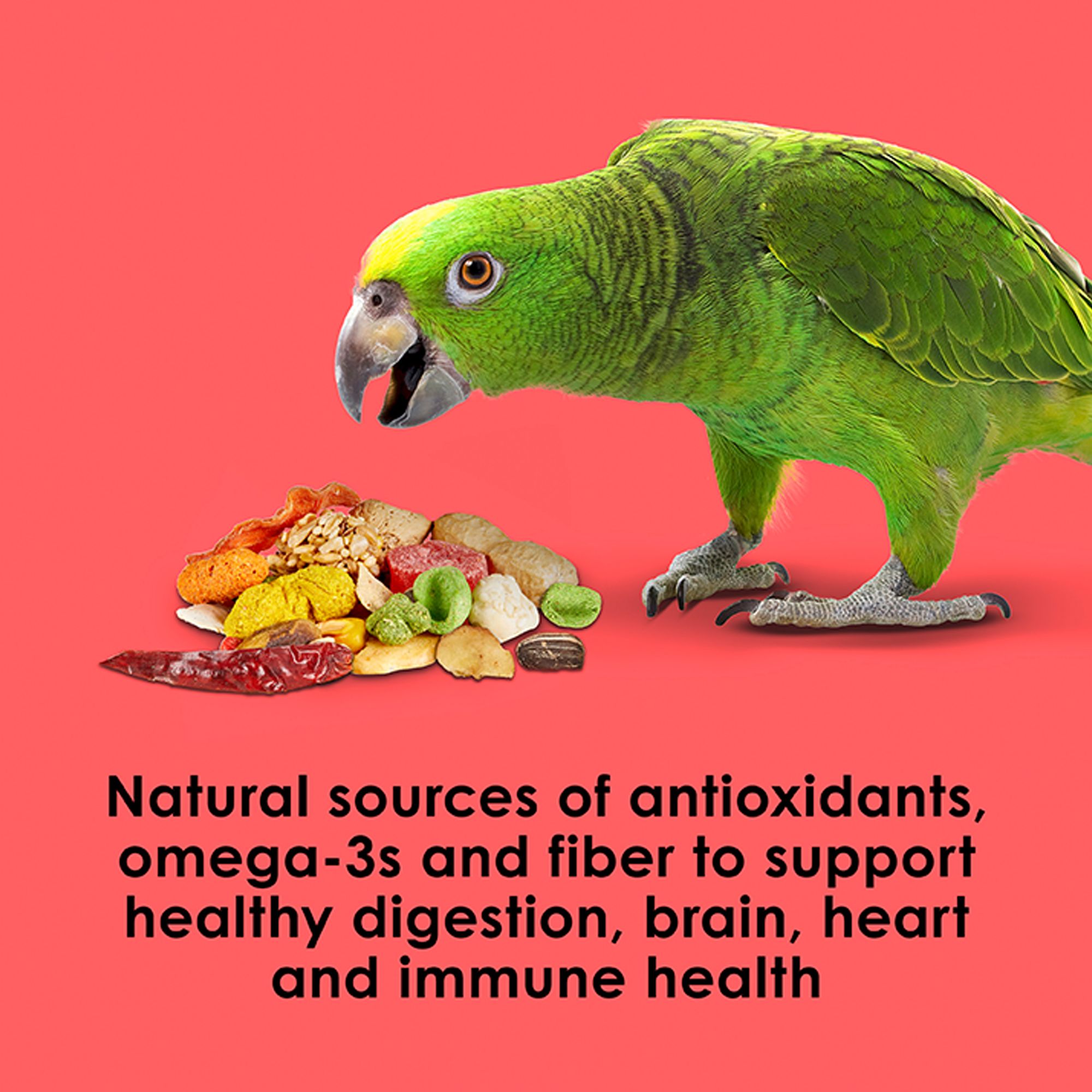 KAYTEE® Fiesta Parrot Food - Seed Blend - thumbnail 6