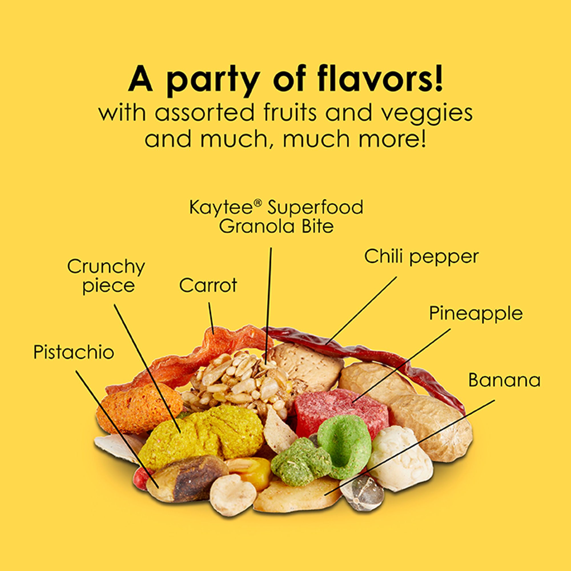 KAYTEE® Fiesta Parrot Food - Seed Blend - thumbnail 7