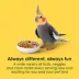 KAYTEE® Fiesta Cockatiel Food image thumbnail 3